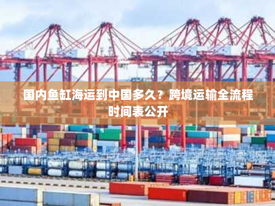 国内鱼缸海运到中国多久?跨境运输全流程时间表公开 国内鱼缸海运到中国多久?跨境运输全流程时间表公开