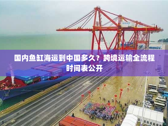 国内鱼缸海运到中国多久?跨境运输全流程时间表公开 国内鱼缸海运到中国多久?跨境运输全流程时间表公开