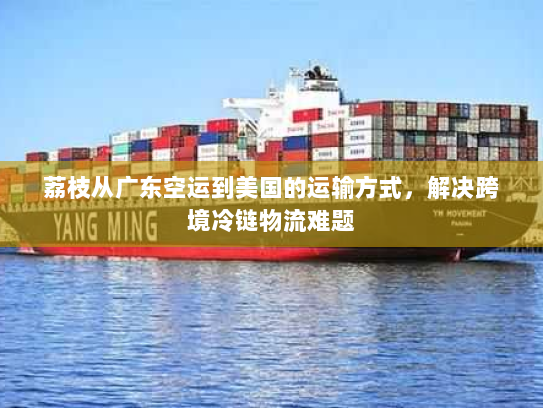 荔枝从广东空运到美国的运输方式,解决跨境冷链物流难题 荔枝从广东空运到美国的运输方式,解决跨境冷链物流难题