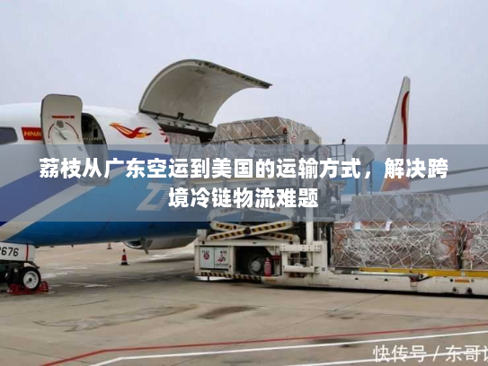 荔枝从广东空运到美国的运输方式,解决跨境冷链物流难题 荔枝从广东空运到美国的运输方式,解决跨境冷链物流难题