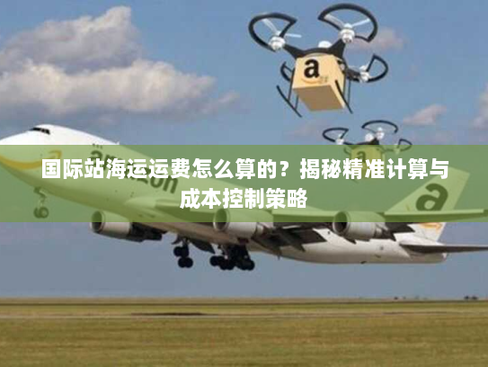 国际站海运运费怎么算的?揭秘精准计算与成本控制策略 国际站海运运费怎么算的?揭秘精准计算与成本控制策略