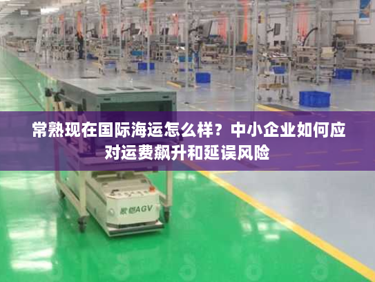 常熟现在国际海运怎么样?中小企业如何应对运费飙升和延误风险 常熟现在国际海运怎么样?中小企业如何应对运费飙升和延误风险