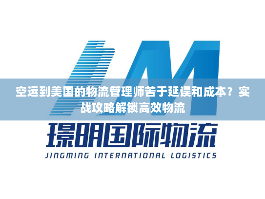 空运到美国的物流管理师苦于延误和成本?实战攻略解锁高效物流 空运到美国的物流管理师苦于延误和成本?实战攻略解锁高效物流