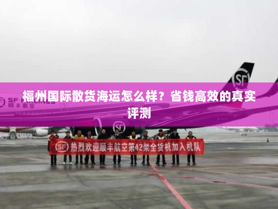 福州国际散货海运怎么样？省钱高效的真实评测