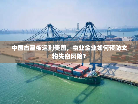 中国古墓被运到美国，物业企业如何预防文物失窃风险？