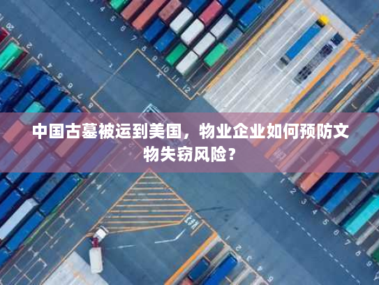 中国古墓被运到美国，物业企业如何预防文物失窃风险？