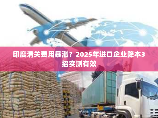印度清关费用暴涨？2025年进口企业降本3招实测有效