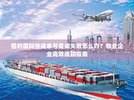 猎豹国际快递单号查询失败怎么办?物业企业高效追踪指南 猎豹国际快递单号查询失败怎么办?物业企业高效追踪指南