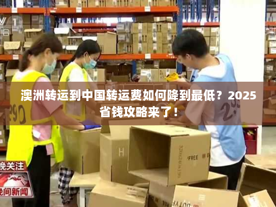 澳洲转运到中国转运费如何降到最低？2025省钱攻略来了！