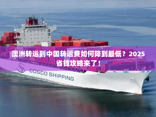 澳洲转运到中国转运费如何降到最低？2025省钱攻略来了！
