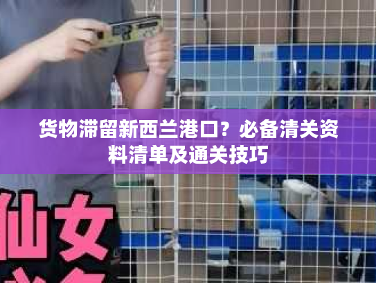 货物滞留新西兰港口？必备清关资料清单及通关技巧