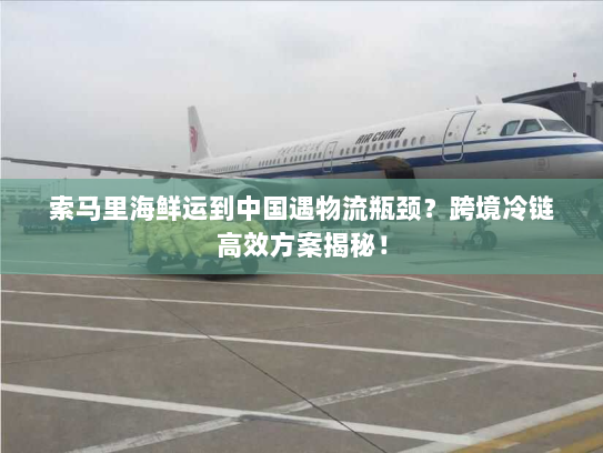 索马里海鲜运到中国遇物流瓶颈？跨境冷链高效方案揭秘！