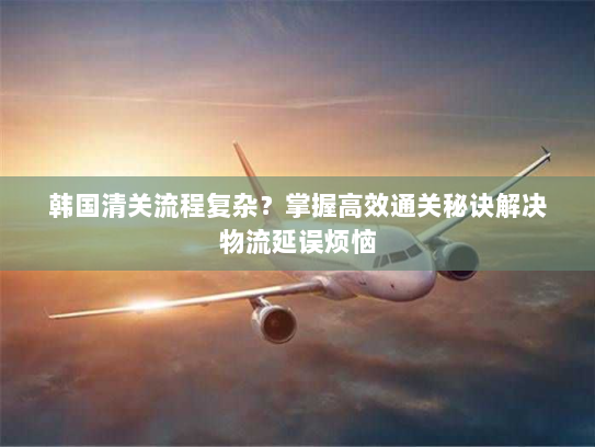 韩国清关流程复杂?掌握高效通关秘诀解决物流延误烦恼 韩国清关流程复杂?掌握高效通关秘诀解决物流延误烦恼