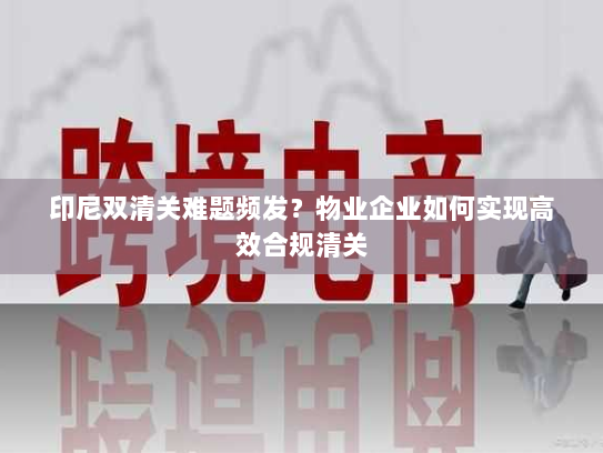 印尼双清关难题频发？物业企业如何实现高效合规清关