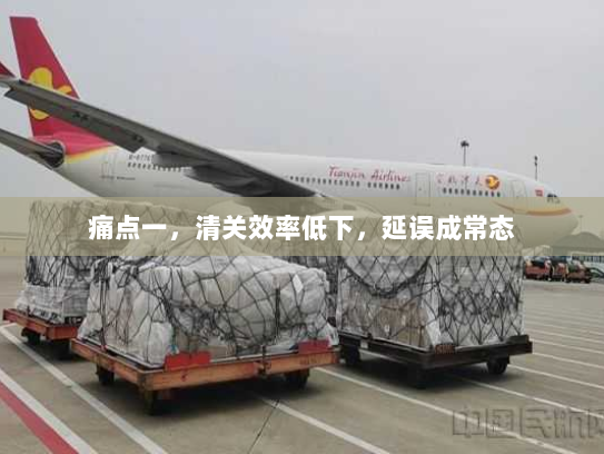 痛点一,清关效率低下,延误成常态 痛点一,清关效率低下,延误成常态