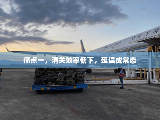 痛点一,清关效率低下,延误成常态 痛点一,清关效率低下,延误成常态