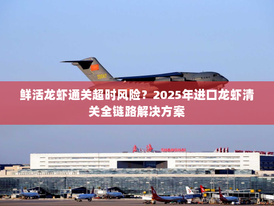 鲜活龙虾通关超时风险?2025年进口龙虾清关全链路解决方案 鲜活龙虾通关超时风险?2025年进口龙虾清关全链路解决方案