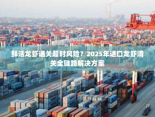 鲜活龙虾通关超时风险?2025年进口龙虾清关全链路解决方案 鲜活龙虾通关超时风险?2025年进口龙虾清关全链路解决方案