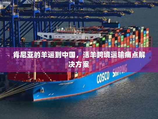 肯尼亚的羊运到中国,活羊跨境运输痛点解决方案 肯尼亚的羊运到中国,活羊跨境运输痛点解决方案