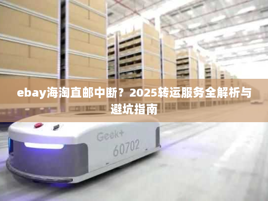 ebay海淘直邮中断？2025转运服务全解析与避坑指南