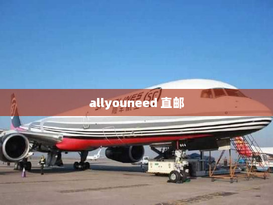 allyouneed 直邮