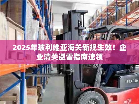 2025年玻利维亚海关新规生效！企业清关避雷指南速领