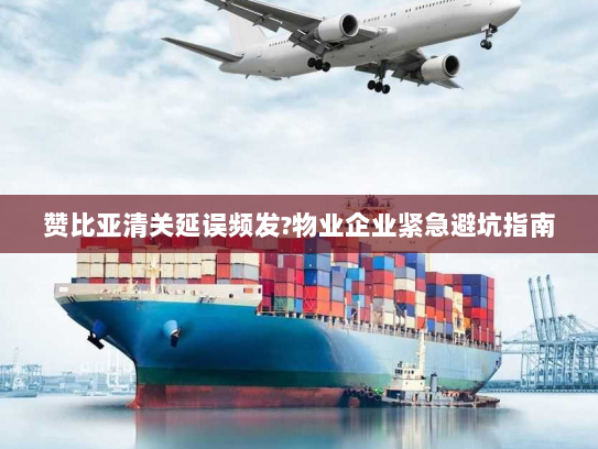 赞比亚清关延误频发?物业企业紧急避坑指南 赞比亚清关延误频发?物业企业紧急避坑指南