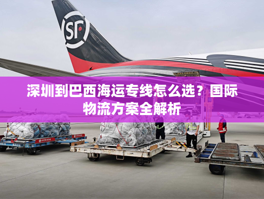 深圳到巴西海运专线怎么选？国际物流方案全解析