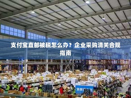 支付宝直邮被税怎么办?企业采购清关合规指南 支付宝直邮被税怎么办?企业采购清关合规指南