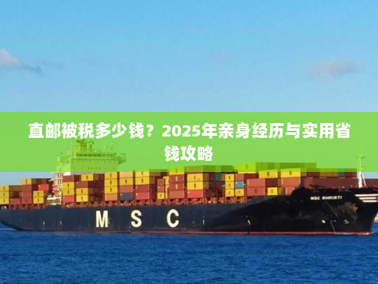 直邮被税多少钱?2025年亲身经历与实用省钱攻略 直邮被税多少钱?2025年亲身经历与实用省钱攻略