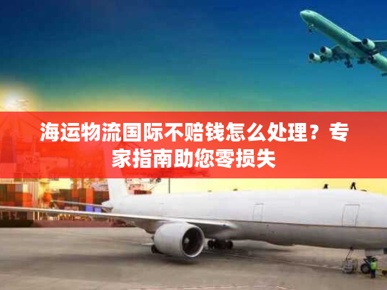 海运物流国际不赔钱怎么处理？专家指南助您零损失