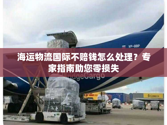 海运物流国际不赔钱怎么处理？专家指南助您零损失