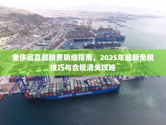 奢侈品直邮税费明细指南,2025年最新免税技巧与合规清关攻略 奢侈品直邮税费明细指南,2025年最新免税技巧与合规清关攻略