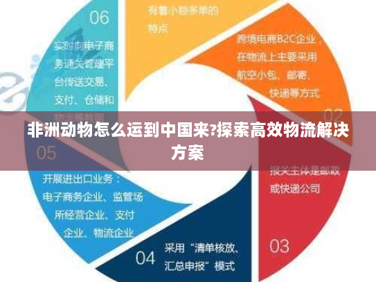 非洲动物怎么运到中国来?探索高效物流解决方案