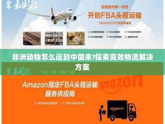 非洲动物怎么运到中国来?探索高效物流解决方案