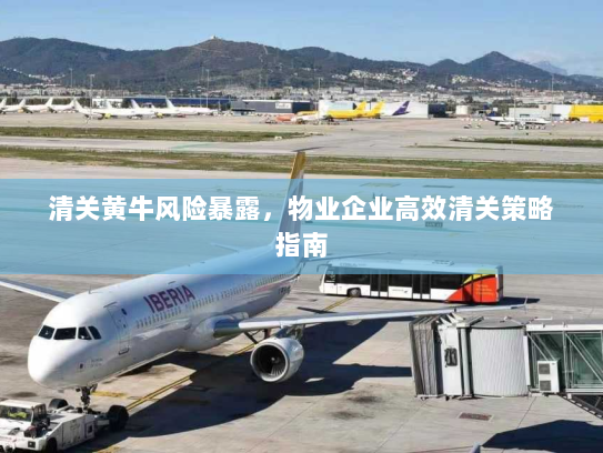 清关黄牛风险暴露,物业企业高效清关策略指南 清关黄牛风险暴露,物业企业高效清关策略指南