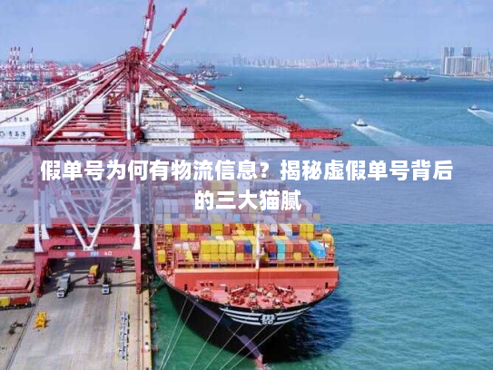 假单号为何有物流信息?揭秘虚假单号背后的三大猫腻 假单号为何有物流信息?揭秘虚假单号背后的三大猫腻