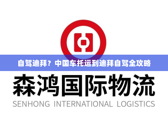 自驾迪拜?中国车托运到迪拜自驾全攻略 自驾迪拜?中国车托运到迪拜自驾全攻略