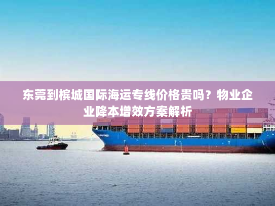 东莞到槟城国际海运专线价格贵吗？物业企业降本增效方案解析