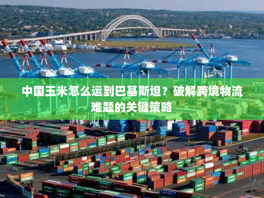 中国玉米怎么运到巴基斯坦？破解跨境物流难题的关键策略