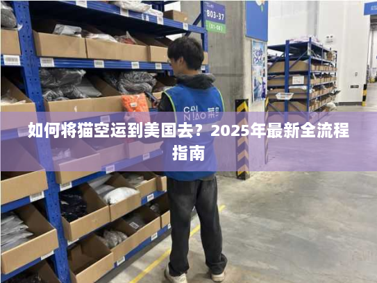 如何将猫空运到美国去？2025年最新全流程指南