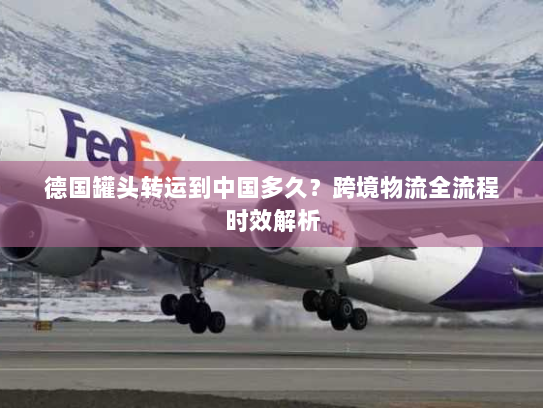 德国罐头转运到中国多久？跨境物流全流程时效解析