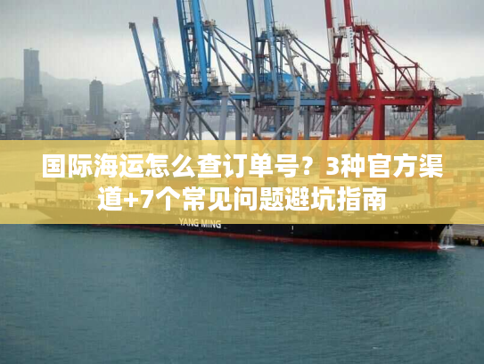 国际海运怎么查订单号？3种官方渠道+7个常见问题避坑指南