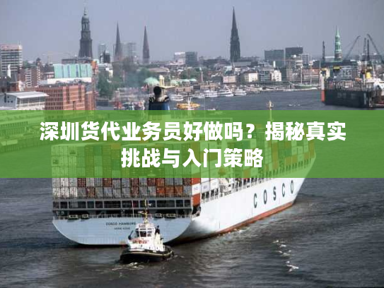 深圳货代业务员好做吗?揭秘真实挑战与入门策略 深圳货代业务员好做吗?揭秘真实挑战与入门策略