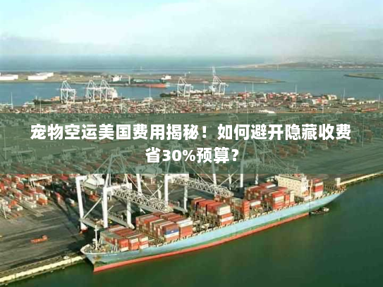 宠物空运美国费用揭秘!如何避开隐藏收费省30%预算? 宠物空运美国费用揭秘!如何避开隐藏收费省30%预算?