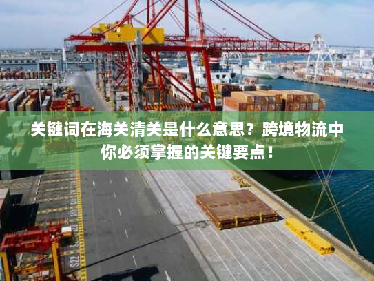 关键词在海关清关是什么意思?跨境物流中你必须掌握的关键要点! 关键词在海关清关是什么意思?跨境物流中你必须掌握的关键要点!