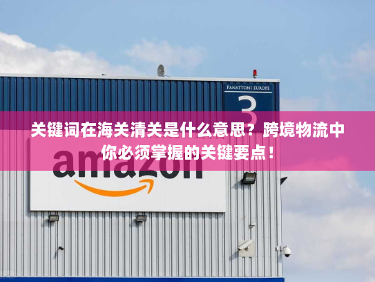 关键词在海关清关是什么意思?跨境物流中你必须掌握的关键要点! 关键词在海关清关是什么意思?跨境物流中你必须掌握的关键要点!