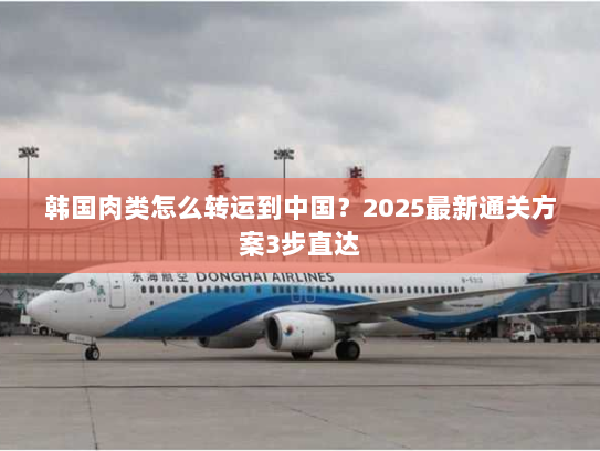 韩国肉类怎么转运到中国?2025最新通关方案3步直达 韩国肉类怎么转运到中国?2025最新通关方案3步直达