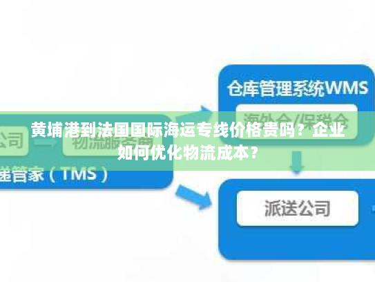 黄埔港到法国国际海运专线价格贵吗？企业如何优化物流成本？