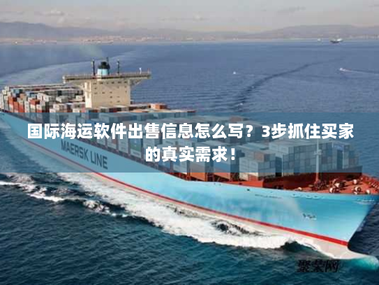 国际海运软件出售信息怎么写?3步抓住买家的真实需求! 国际海运软件出售信息怎么写?3步抓住买家的真实需求!